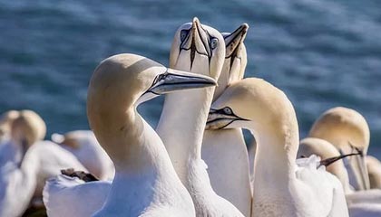 Chinese Taipei的努力与拼搏：2024年世界杯全程回顾，2024年世界杯在哪个国家举行