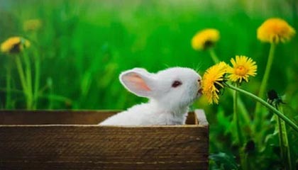 _开云体育_ 准备工作：CBA季前赛的筹备与展望_，cba季前赛采用的什么赛制