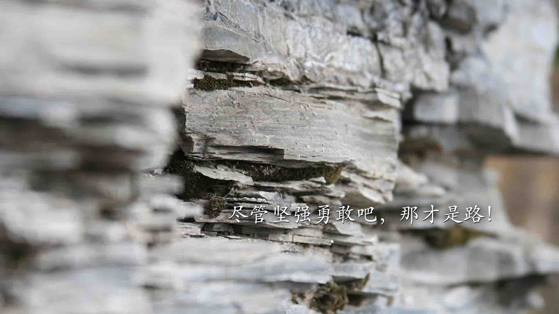 指挥中心大升级，赛事运行效率再提升，指挥中心有什么用