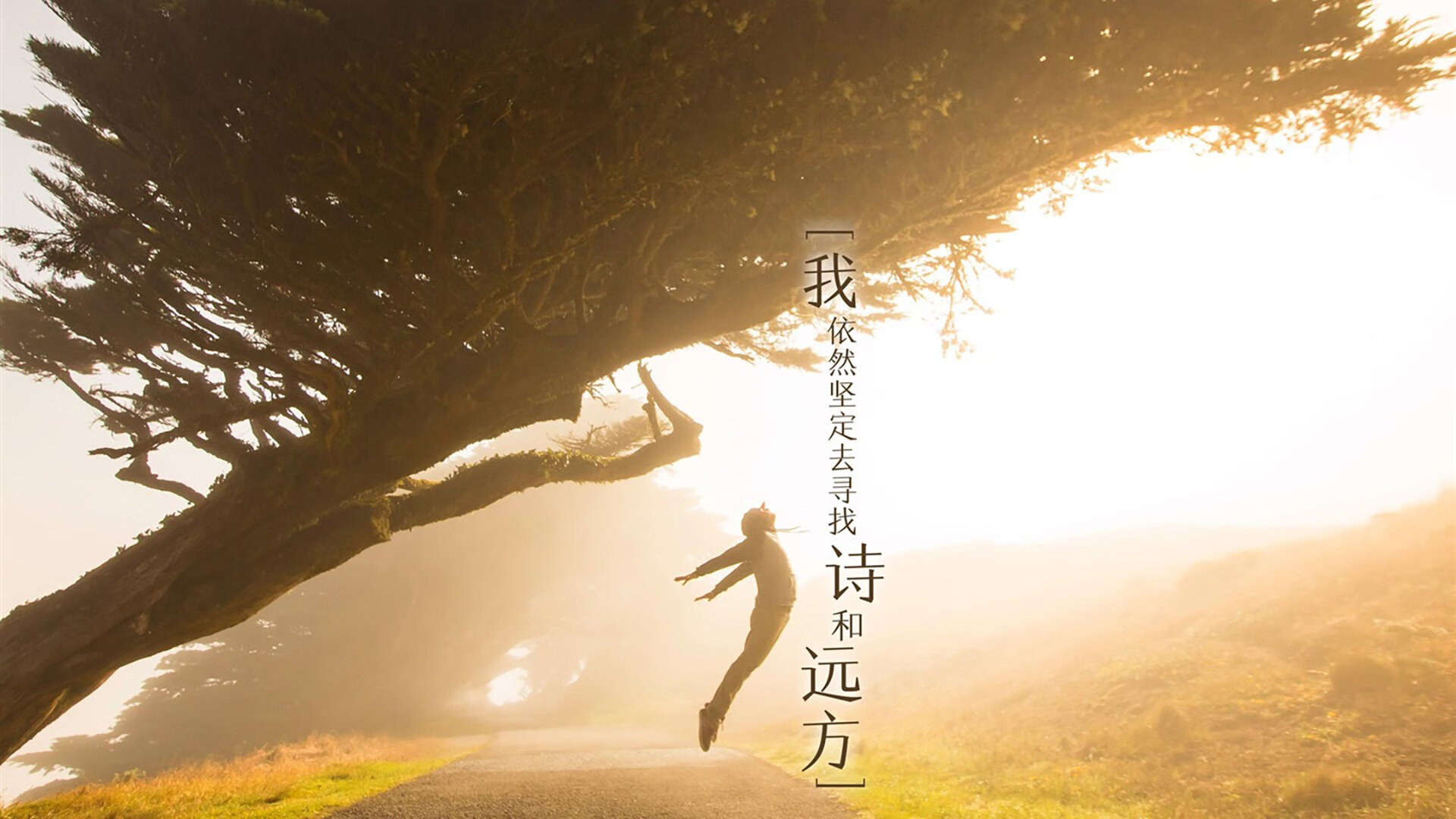 篮网首次采用“动态战术板”，教练组实时调整战术，篮网战术手册