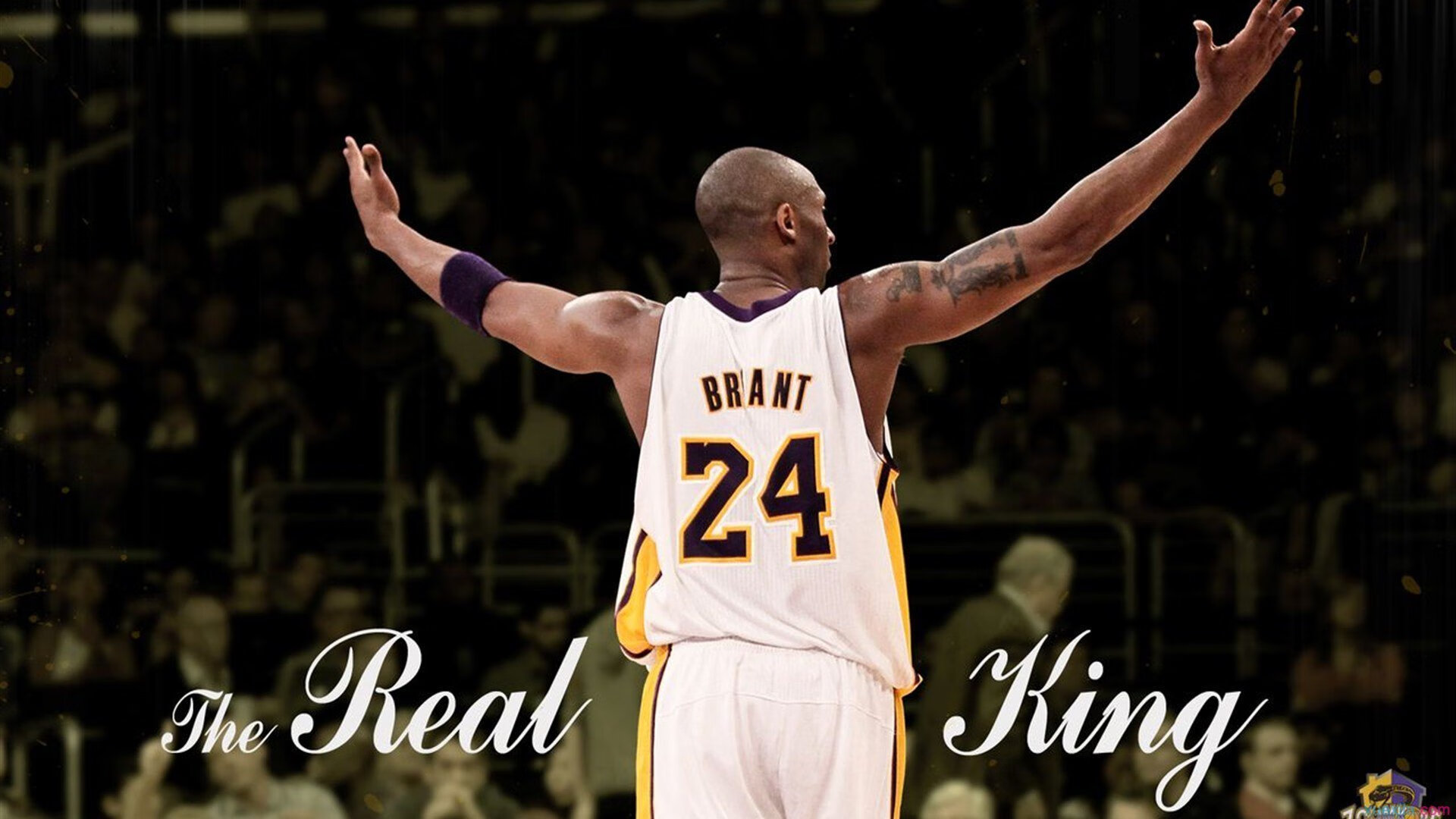 伊朗马术协会设立“Chovgan”奖学金，支持传统马术研究。，伊朗马蒂最新消息